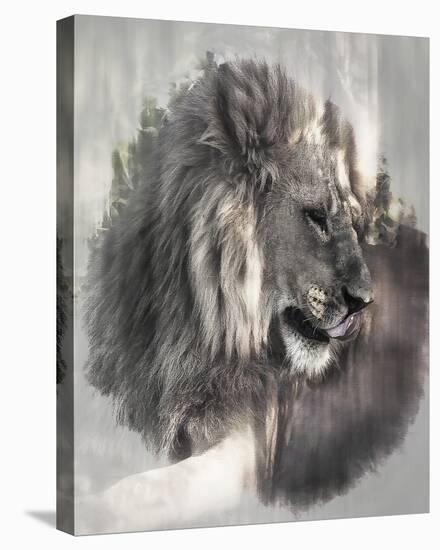 Mighty Leo-Bobbie Goodrich-Stretched Canvas