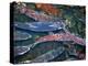 Migrating Salmon, Washington, USA-William Sutton-Premier Image Canvas