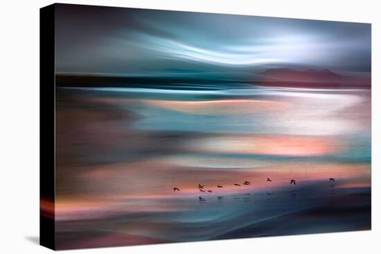 Migrations - Blue Sky-Ursula Abresch-Premier Image Canvas