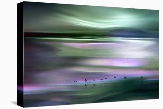 Migrations - Green Sky-Ursula Abresch-Premier Image Canvas
