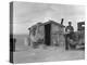 Migratory Mexican Field Worker's Home, Imperial Valley, California, c.1937-Dorothea Lange-Stretched Canvas