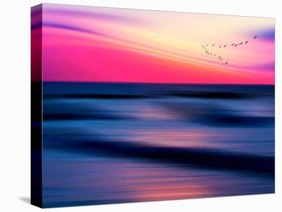 Migratory-Josh Adamski-Premier Image Canvas