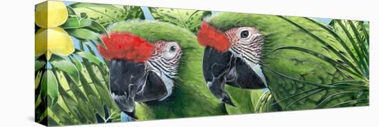 Military Macaws-Durwood Coffey-Premier Image Canvas