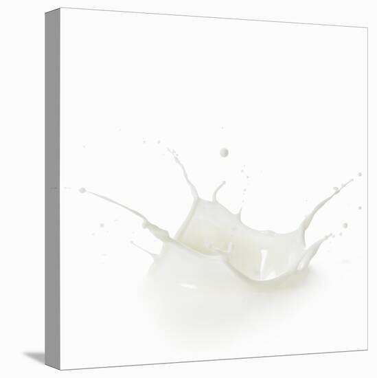 Milk Splash-Kröger and Gross-Premier Image Canvas
