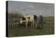 Milking Time-Anton Mauve-Premier Image Canvas