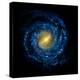 Milky Way Galaxy-Chris Butler-Premier Image Canvas