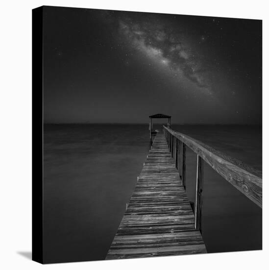 Milky Way in Florida 2-Moises Levy-Premier Image Canvas