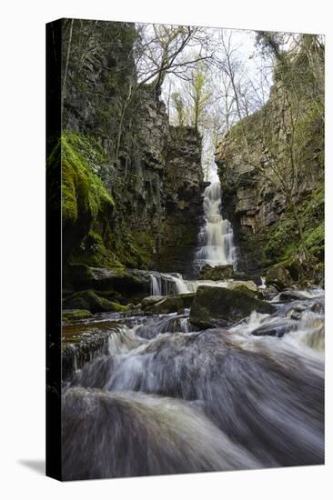 Mill Gill Force Waterfall, Askrigg, Wensleydale, North Yorkshire, Yorkshire-Mark Mawson-Premier Image Canvas