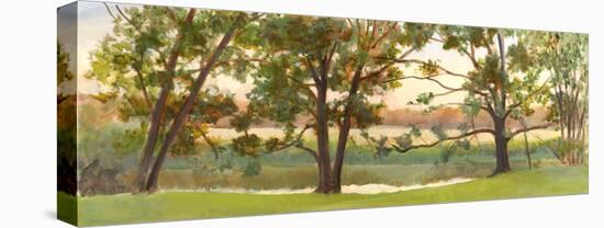 Mill Stream Willows-Elissa Gore-Stretched Canvas