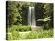 Millaa Millaa Falls, Atherton Tablelands, Queensland, Australia, Pacific-null-Premier Image Canvas