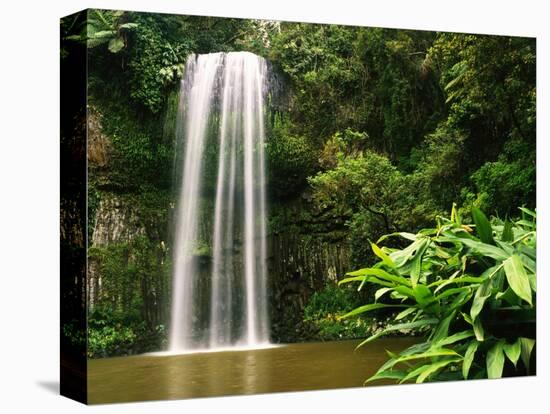 Millaa Millaa Falls-Dennis Degnan-Premier Image Canvas