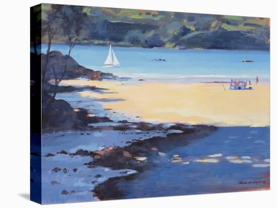 Millbay, Salcombe, 1998-Jennifer Wright-Premier Image Canvas