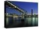 Millennium Bridge and Tate Modern, London, England-Alan Copson-Premier Image Canvas