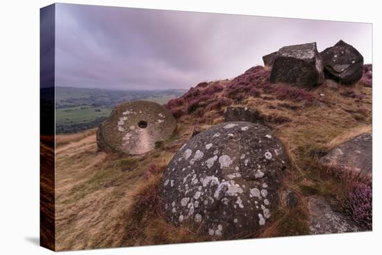 Millstone Amongst Heather and Lichen Covered Boulders at Dawn-Eleanor Scriven-Premier Image Canvas