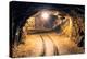 Mine Gold Underground Tunnel Railroad-TTstudio-Premier Image Canvas