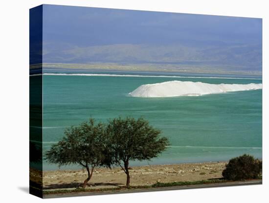 Mined Sea Salt at Shallow South End of the Dead Sea Near Ein Boqeq, Israel, Middle East-Robert Francis-Premier Image Canvas