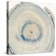 Mineral Rings 6-Albert Koetsier-Stretched Canvas