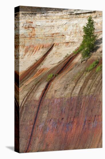 Mineral Seep with Pine Tree Growing, Lake Superior, Pictured Rocks National Lakeshore, Michigan-Judith Zimmerman-Premier Image Canvas