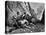 Miners Blasting, 1879-null-Premier Image Canvas