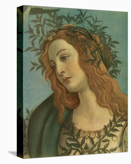 Minerva (detail)-Sandro Botticelli-Stretched Canvas
