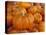 Mini pumpkins at fruit stand, Los Angeles, CA-Rob Sheppard-Premier Image Canvas