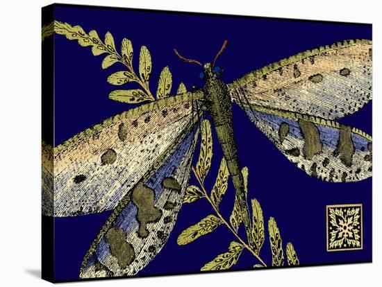 Mini Shimmering Dragonfly III-Vision Studio-Stretched Canvas