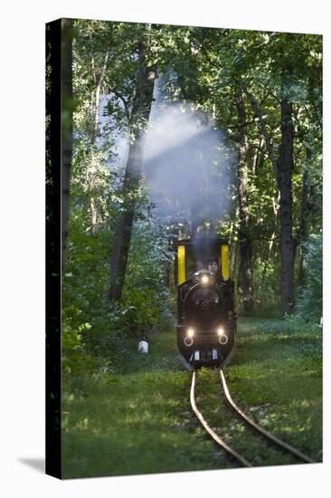 Miniatur Railway in the Prater, Steam Locomotive Da2, Vienna, Austria, Europe-Gerhard Wild-Premier Image Canvas