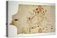 Miniature Nautical Map of the Central Mediterranean, 1560-Matteo Prunes-Premier Image Canvas