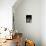 Miniature Schnauzer Profile-Adriano Bacchella-Premier Image Canvas displayed on a wall