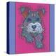 Miniature Schnauzer-Denny Driver-Premier Image Canvas