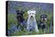 Miniature Schnauzers in Bluebells-null-Premier Image Canvas