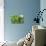 Miniature Succulent Plants-kenny001-Premier Image Canvas displayed on a wall