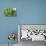 Miniature Succulent Plants-kenny001-Premier Image Canvas displayed on a wall