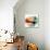 Minimal Circle II-Sisa Jasper-Stretched Canvas displayed on a wall