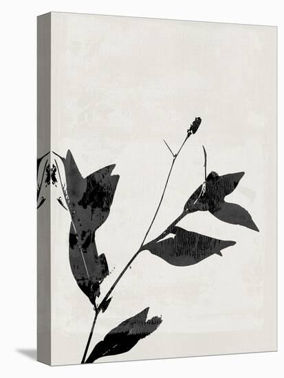 Minimalist Black Flower I-Eline Isaksen-Stretched Canvas