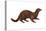 Mink (Mustela Vison), Mammals-Encyclopaedia Britannica-Stretched Canvas