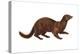 Mink (Mustela Vison), Mammals-Encyclopaedia Britannica-Stretched Canvas