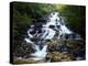 Minnehaha Falls-James Randklev-Premier Image Canvas