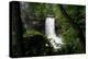 Minnesota, Minneapolis, Minnehaha Falls Park During Flood of the Creek-Bernard Friel-Premier Image Canvas