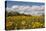 Minnesota, West Saint Paul, Field of Daisy Wildflowers and Clouds-Bernard Friel-Premier Image Canvas