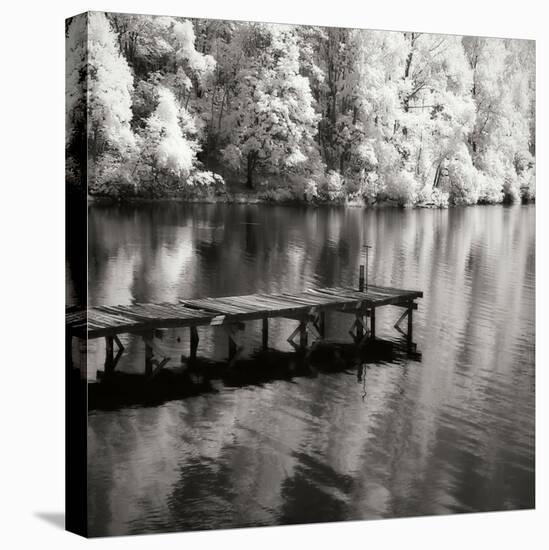 Mint Springs Lake Square III-Alan Hausenflock-Premier Image Canvas