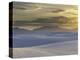 Mirage-Art Wolfe-Premier Image Canvas