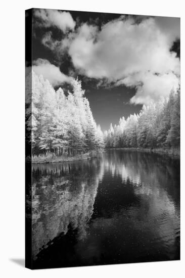 Mirror Of Heaven, Palms Book State Park, Michigan '12-Monte Nagler-Stretched Canvas