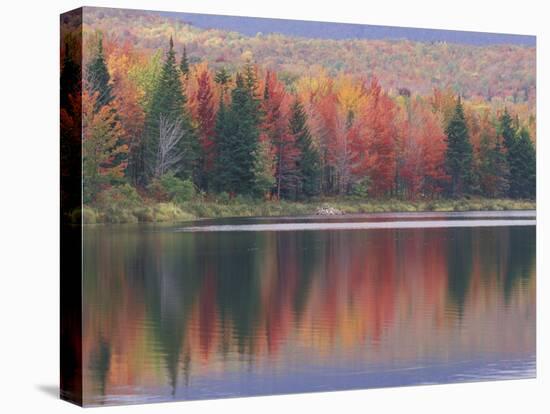 Mirror Reflection of Autumn Colors in McAllister Lake, Vermont, USA-Adam Jones-Premier Image Canvas