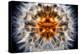 Mirrored Dandelion-Andy Bell-Premier Image Canvas