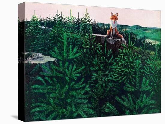 Mischevious Red Fox-Stan Galli-Premier Image Canvas