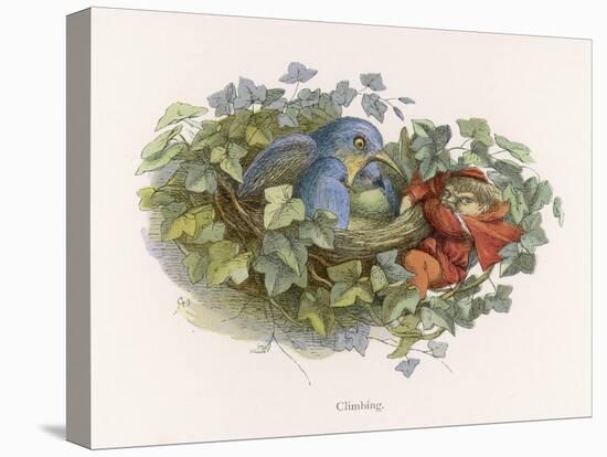 Mischievous Elf Raids a Birds' Nest-Richard Doyle-Stretched Canvas