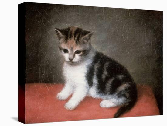 Miss Ann White's Kitten, 1790-George Stubbs-Premier Image Canvas