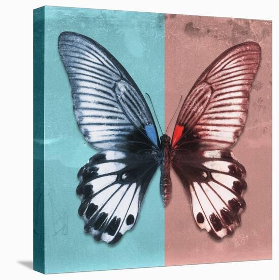 Miss Butterfly Agenor Sq - Turquoise & Red-Philippe Hugonnard-Stretched Canvas