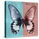 Miss Butterfly Agenor Sq - Turquoise & Red-Philippe Hugonnard-Stretched Canvas